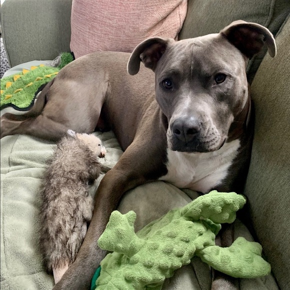 Meet your seller/buyer! - Picture 3 of 3